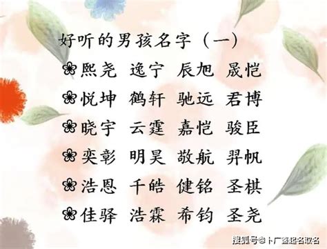 睿意思名字|睿字取名的意思